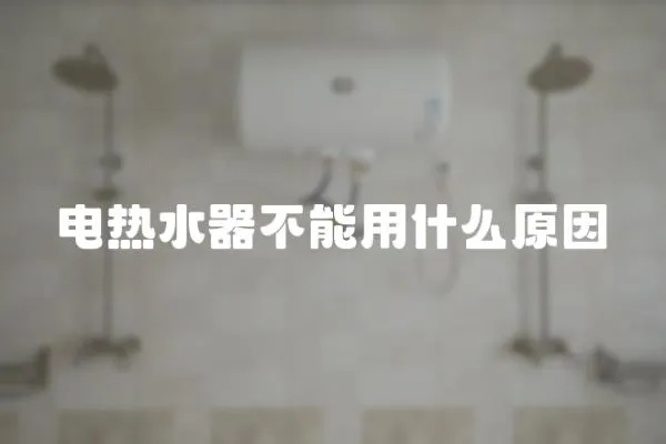 電熱水器不能用什么原因