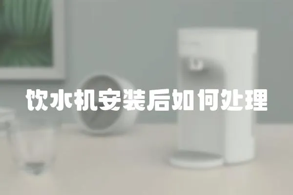 飲水機安裝后如何處理