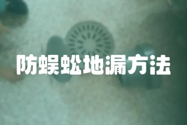 防蜈蚣地漏方法