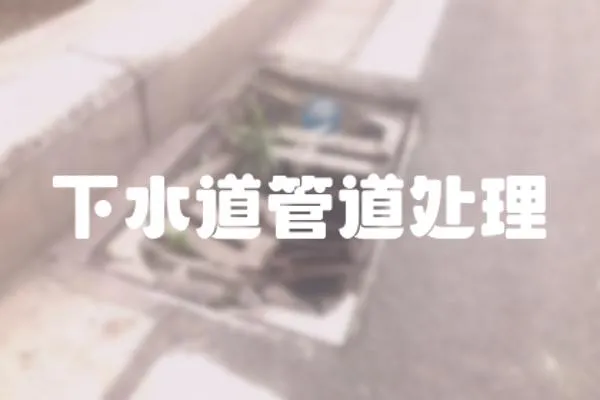 下水道管道處理