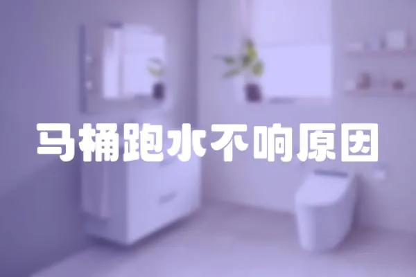 馬桶跑水不響原因