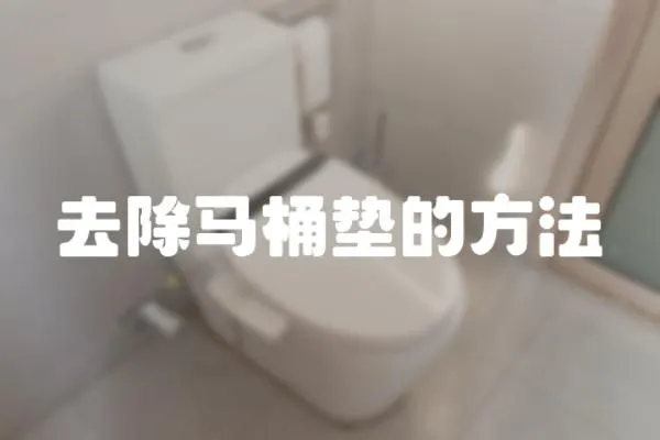 去除馬桶墊的方法