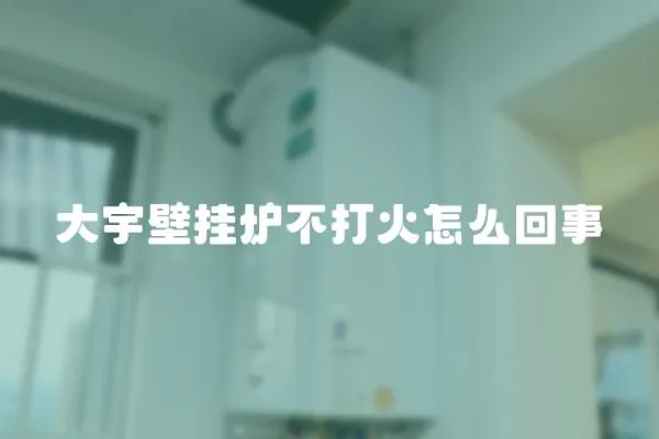 大宇壁掛爐不打火怎么回事