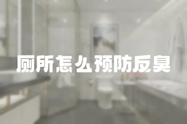 廁所怎么預(yù)防反臭