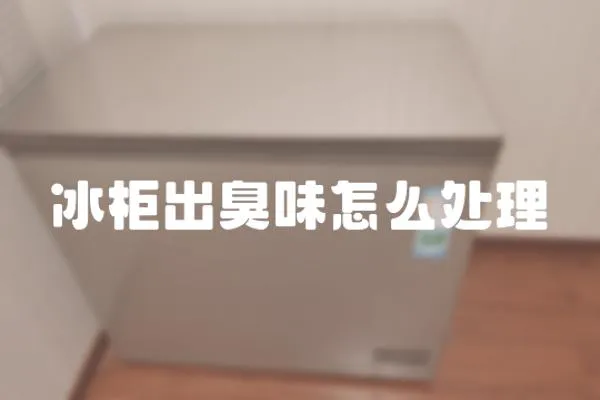 冰柜出臭味怎么處理