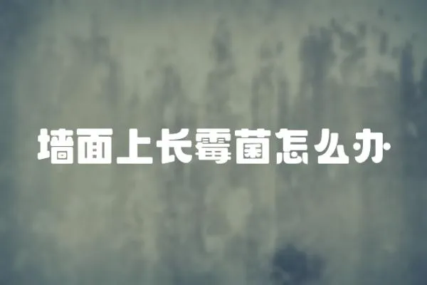 墻面上長霉菌怎么辦