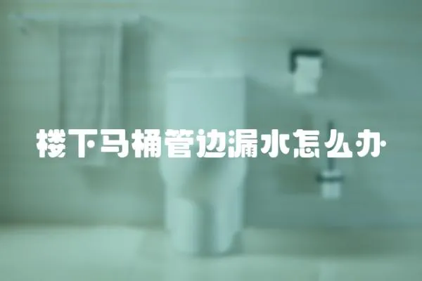 樓下馬桶管邊漏水怎么辦
