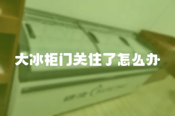 大冰柜門關(guān)住了怎么辦