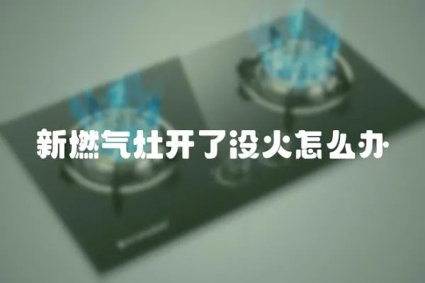 新燃氣灶開了沒火怎么辦