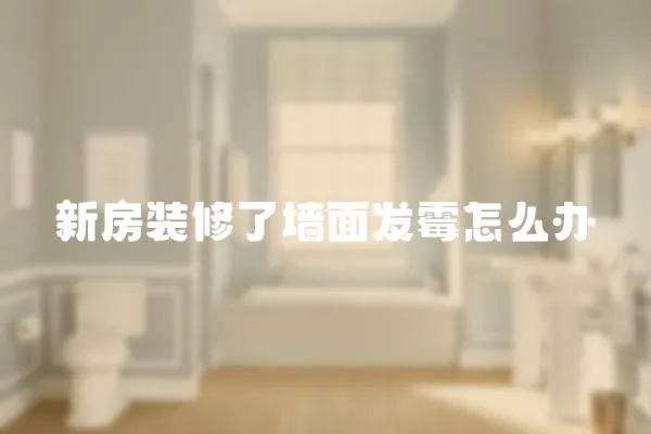 新房裝修了墻面發(fā)霉怎么辦