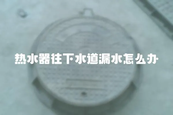 熱水器往下水道漏水怎么辦