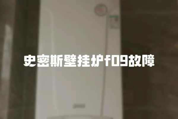 史密斯壁掛爐f09故障