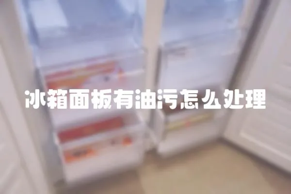 冰箱面板有油污怎么處理