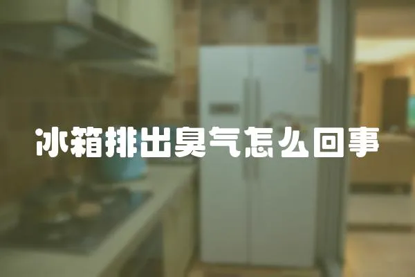 冰箱排出臭氣怎么回事