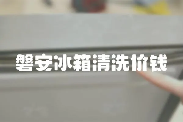 磐安冰箱清洗價錢