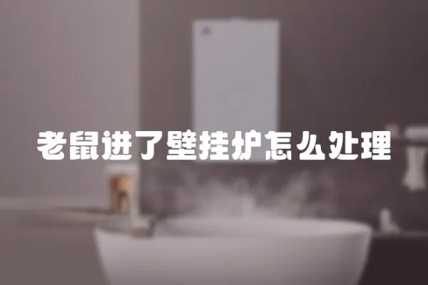 老鼠進(jìn)了壁掛爐怎么處理