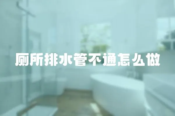 廁所排水管不通怎么做