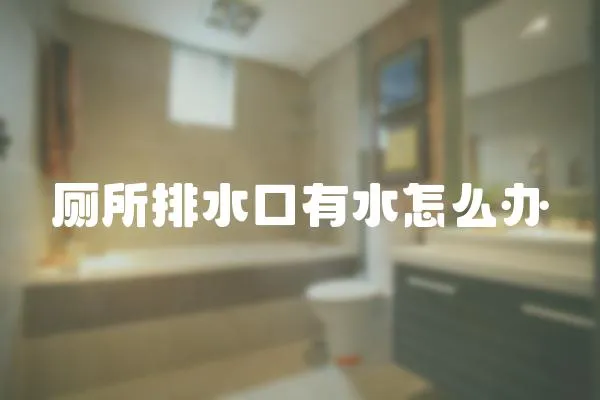 廁所排水口有水怎么辦