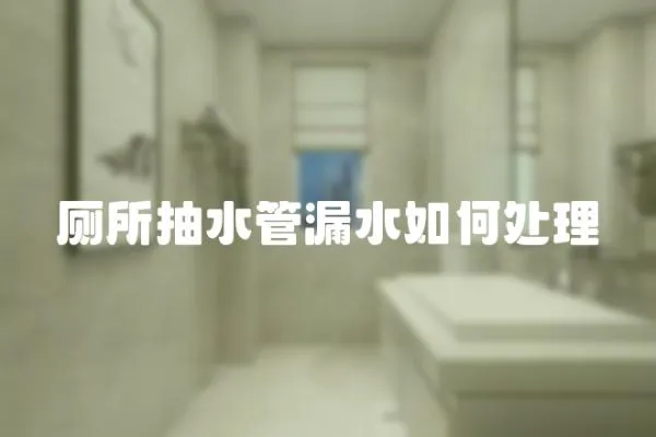 廁所抽水管漏水如何處理