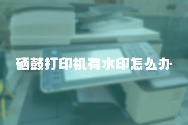 硒鼓打印機有水印怎么辦