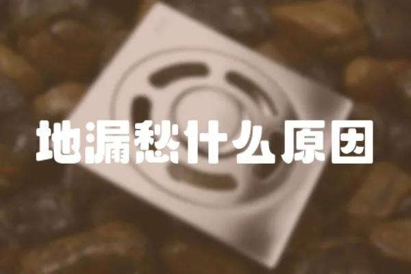 地漏愁什么原因