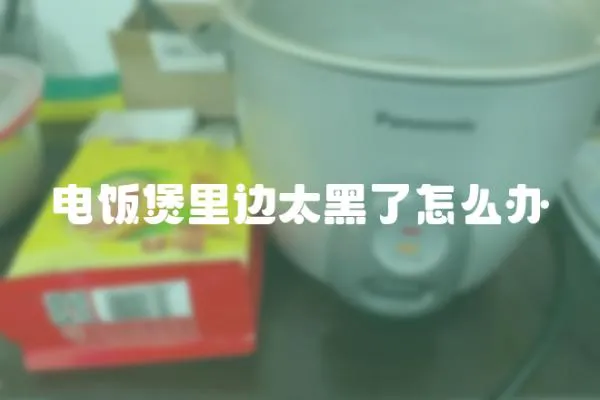 電飯煲里邊太黑了怎么辦