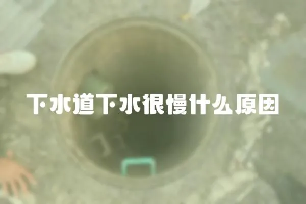 下水道下水很慢什么原因
