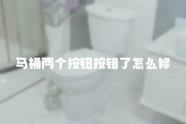 馬桶兩個按鈕按錯了怎么修