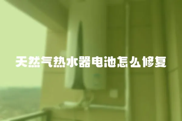 天然氣熱水器電池怎么修復