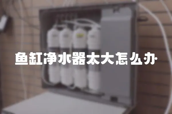 魚缸凈水器太大怎么辦