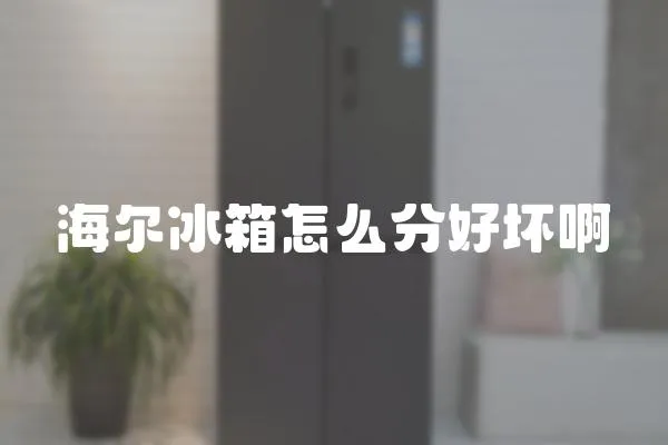 海爾冰箱怎么分好壞啊
