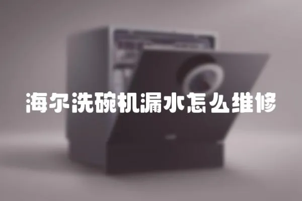 海爾洗碗機漏水怎么維修