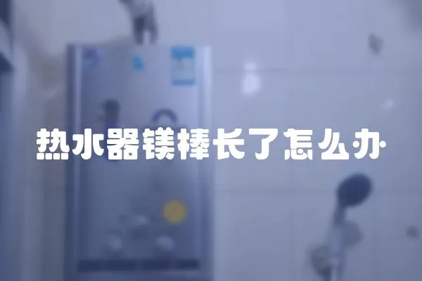 熱水器鎂棒長了怎么辦