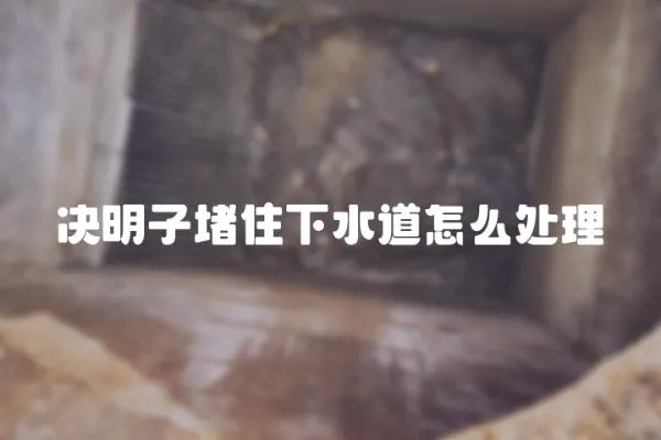 決明子堵住下水道怎么處理