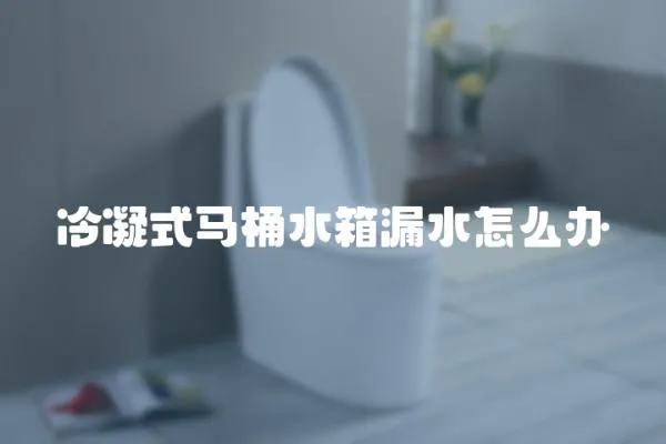 冷凝式馬桶水箱漏水怎么辦