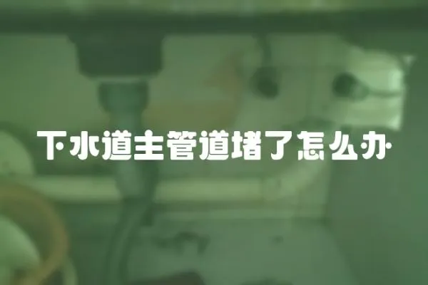 下水道主管道堵了怎么辦