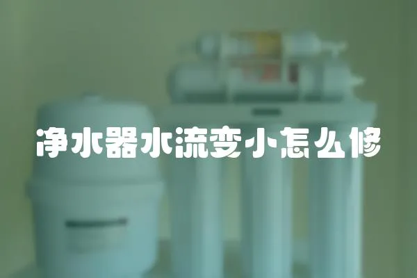 凈水器水流變小怎么修