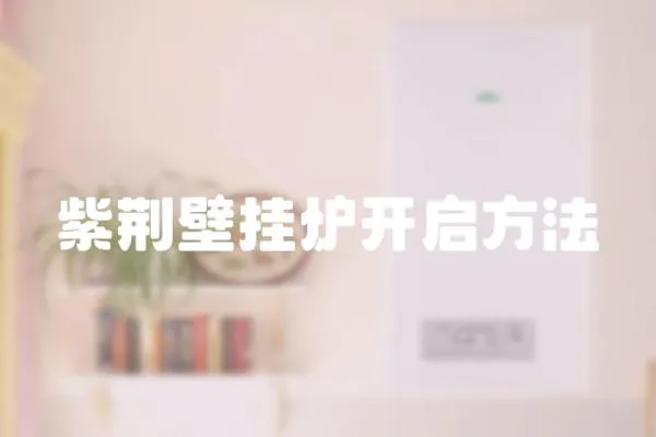 紫荊壁掛爐開啟方法