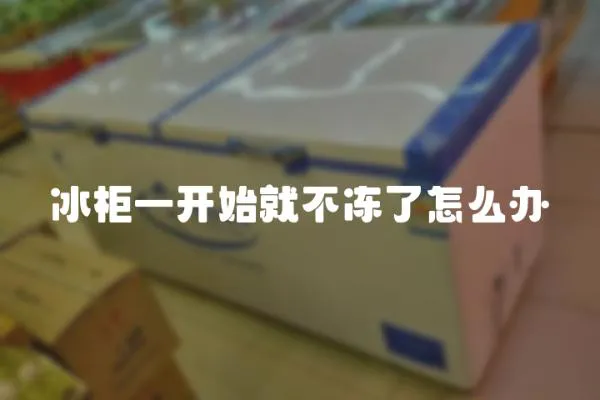 冰柜一開始就不凍了怎么辦