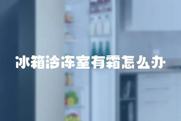 冰箱泠凍室有霜怎么辦