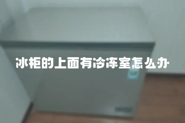 冰柜的上面有冷凍室怎么辦