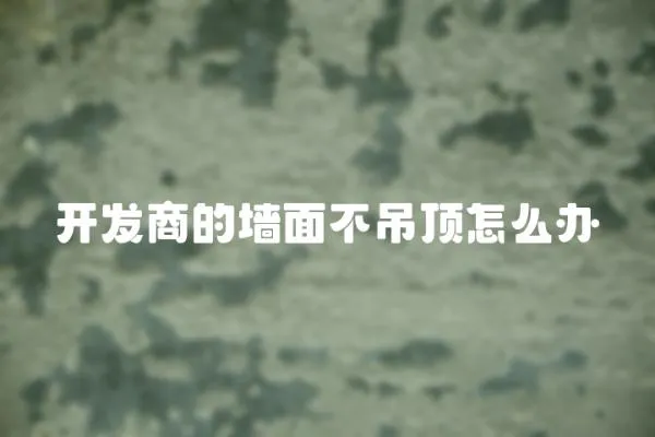 開發(fā)商的墻面不吊頂怎么辦