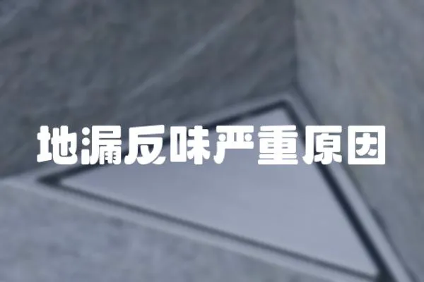 地漏反味嚴重原因