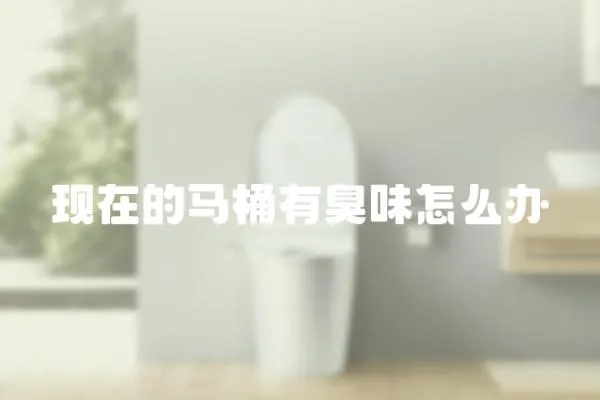 現在的馬桶有臭味怎么辦