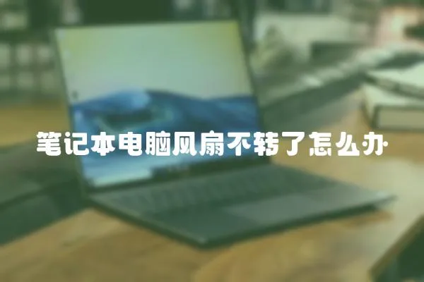 筆記本電腦風扇不轉(zhuǎn)了怎么辦