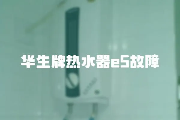 华生牌热水器e5故障