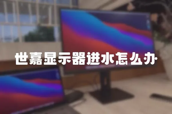 世嘉顯示器進(jìn)水怎么辦