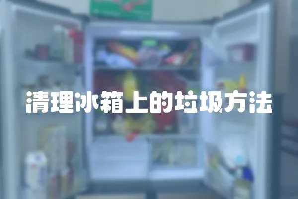清理冰箱上的垃圾方法