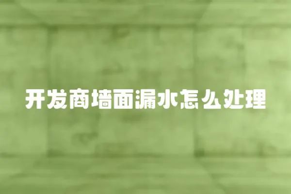 開發商墻面漏水怎么處理