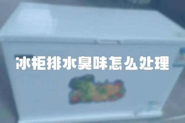 冰柜排水臭味怎么處理